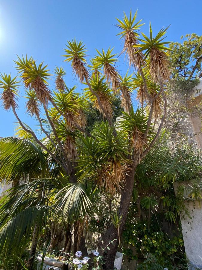 מנטון Villa L'Ensoleillee Vue Panoramique Mer, 250 M De La Plage Et Du Centre Ville מראה חיצוני תמונה